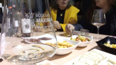 Bodegas Máximo Abete guided tour